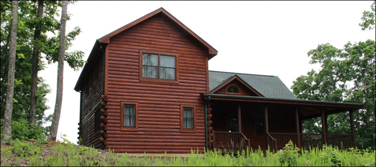 Professional Log Home Borate Application  Bleckley County, Georgia